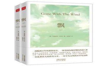 飘的读后感500字优质6篇