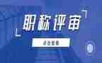 职称评审表专业技术工作总结7篇