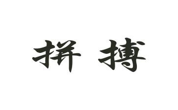 拼来的精彩素材作文8篇