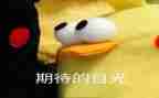 我期待的年作文6篇