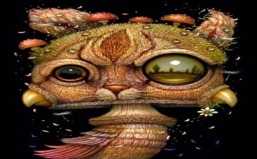 少年奇幻漂流读后感6篇