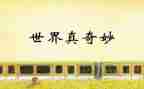 博物馆奇妙游作文5篇