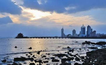 青岛租赁合同模板5篇