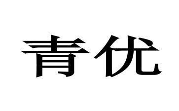市青优教师述职报告推荐5篇