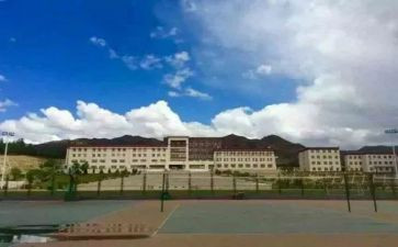 大学生青政心得8篇