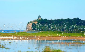 去秦皇岛的作文300字8篇