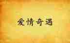 木偶奇遇迹读后感通用7篇