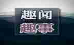 春节趣事作文5篇