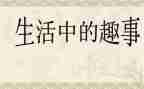 国庆走趣事作文8篇