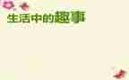 写趣事的作文400字精选7篇