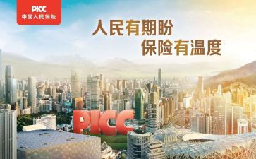 2024年人保财险工作总结7篇