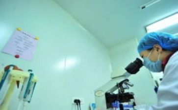 幼儿园级组长个人工作总结7篇