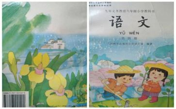 个人教学心得体会精选7篇