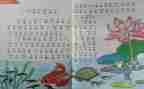 人教雨说教学反思8篇