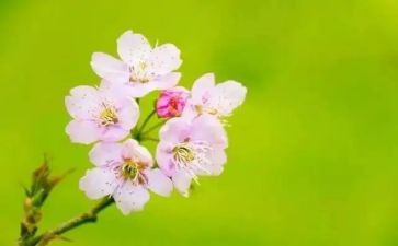 大班教师三月总结5篇