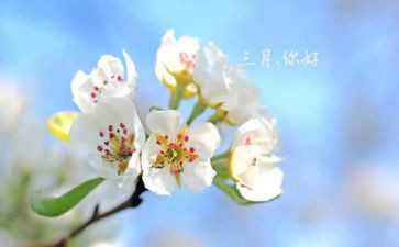 三月记读后感7篇