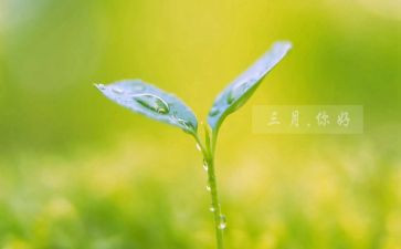 三月教师月工作总结5篇