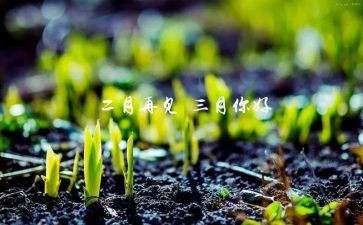 三月工作总结参考5篇