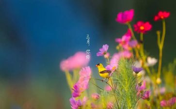 教师三月总结7篇