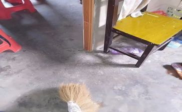 春节大扫除活动方案5篇