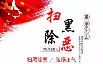 2024年村扫黑除恶工作总结5篇