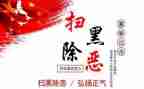 2024年村扫黑除恶工作总结5篇
