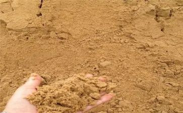 沙沙沙教案8篇