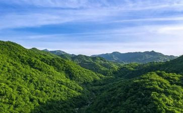 春天的山作文100字8篇