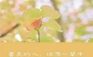 善创新心得体会模板6篇