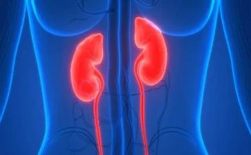 护士肾内科自我鉴定范文8篇