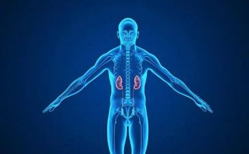 肾内科护理心得体会5篇