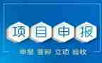 申报述职报告通用5篇