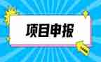 教师申报职称个人述职报告5篇