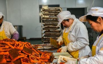 关于安全与生产的心得体会范文8篇