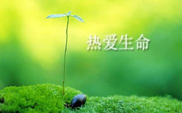 生命的意作文精选6篇