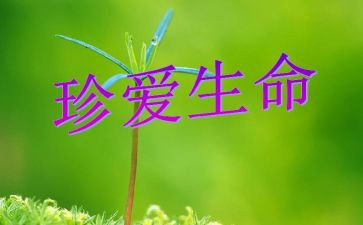生命如歌作文6篇