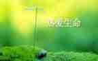 生命册的心得体会优质6篇