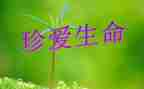 珍爱生命主题教育教案6篇