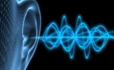 听声音教案最新5篇