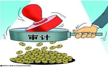 被审计工作总结优秀8篇