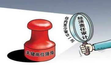 被审计工作总结参考7篇