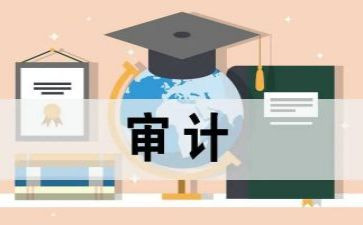 审计2024年工作总结参考6篇