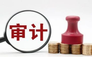 审计前调查报告8篇
