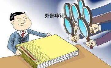 审计局年终总结5篇