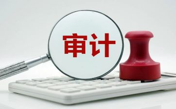审计的工作总结6篇