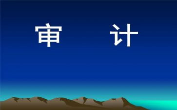 审计2024年工作总结最新5篇