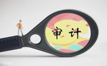 审计报告工作总结7篇