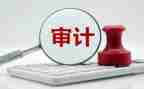 审计的工作总结6篇
