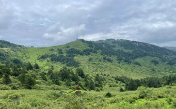 神农架旅游心得体会7篇