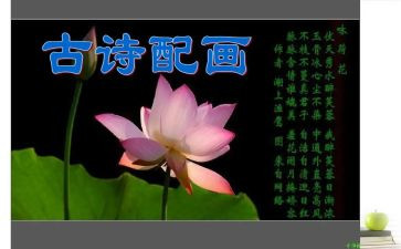 小小班诗歌教案5篇